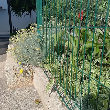 Lovelysuite * Шибеник